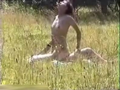Riding cock in the open meadow