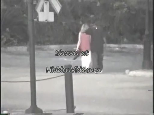 Voyeur Spy Camera Interracial Pair Fucking In Public Park
