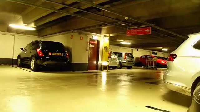 Surprise Dans Le Parking De L'Aéroport De Roissy