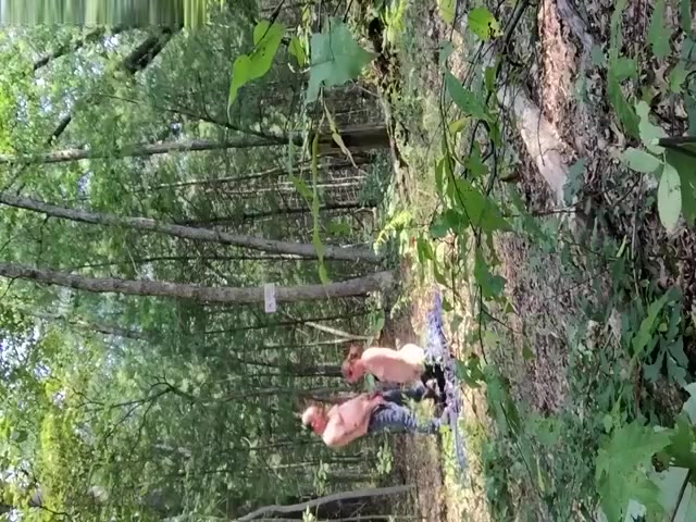 Fucking In The Woods