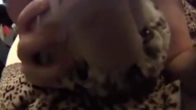 Snow Leopard Cuddle/Grind (Plushophilia!)