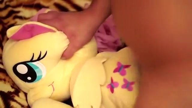 Plush mare in the morning