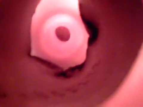 The view from inside a fleshlight