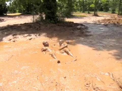 Mud Boys in Large Pit