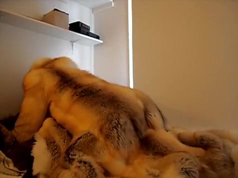 fur sex