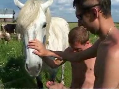 Gay sex in the grass