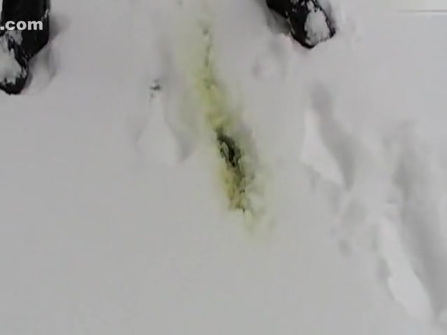Das gelbe Loch im Schnee